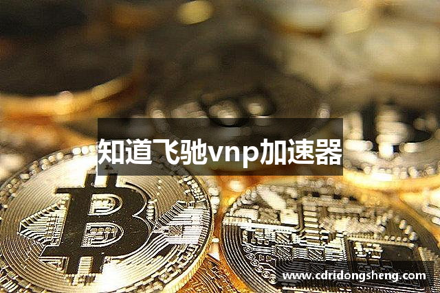 知道飞驰vnp加速器